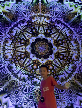 Load image into Gallery viewer, Organic UV psychedelic fractal tapestry By