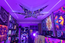 Load image into Gallery viewer, Living room UV Canopy
